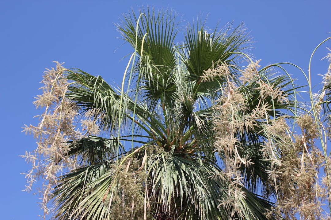 Destinos turísticos paradisíacos